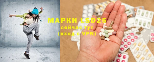 индика Наволоки