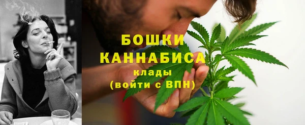 крисы Надым