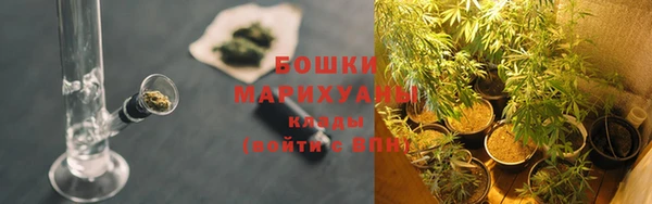 крисы Надым
