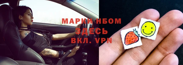 индика Наволоки