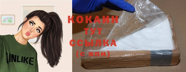 крисы Надым