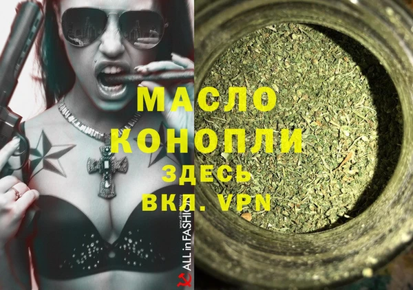 индика Наволоки