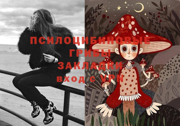 крисы Надым