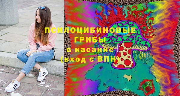 крисы Надым