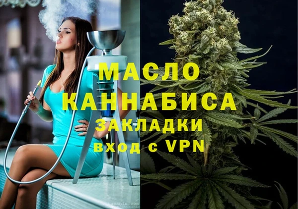 крисы Надым