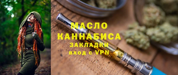 индика Наволоки