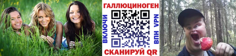 Галлюциногенные грибы Psilocybine cubensis  Себеж 